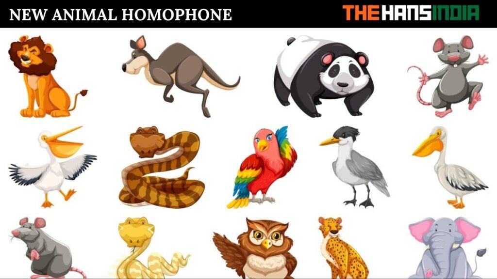 new animal homophone