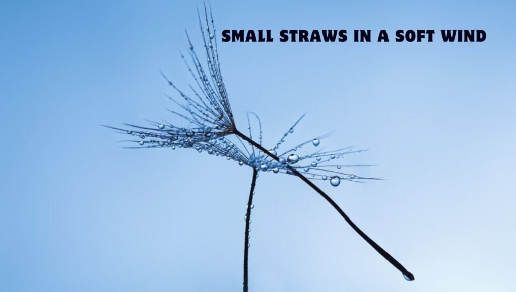 small straws in a soft wind